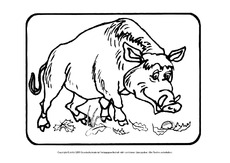 Ausmalbilder-Tiere-des-Waldes-A-1-13.pdf